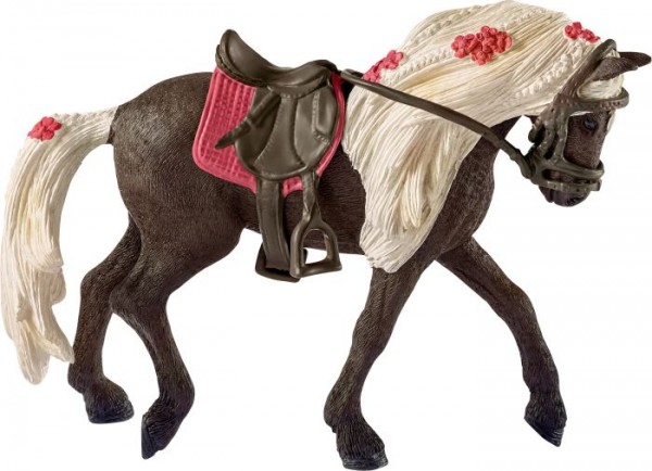HC Rocky Mountain Horse Stute Pferdeshow